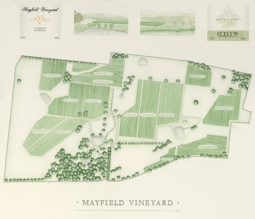 Mayfield Vineyard Orange Dış mekan fotoğraf