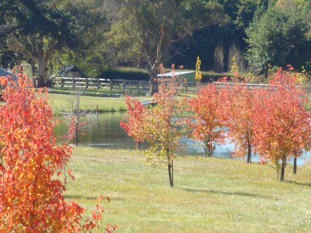 Mayfield Vineyard Orange Dış mekan fotoğraf