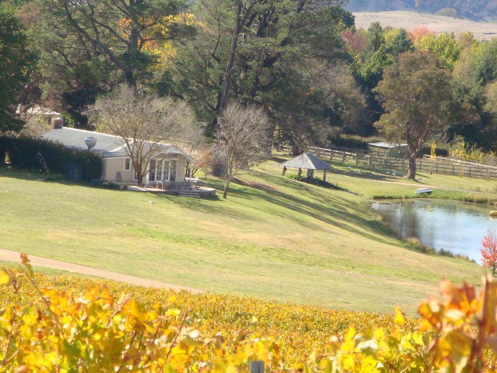 Mayfield Vineyard Orange Dış mekan fotoğraf