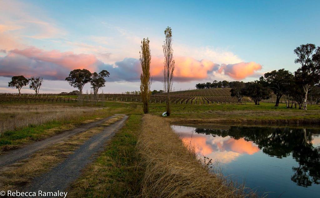 Mayfield Vineyard Orange Dış mekan fotoğraf